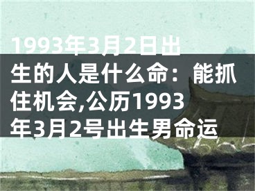 1993年3月2日出生的人是什么命：能抓住机会,公历1993年3月2号出生男命运