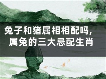 兔子和猪属相相配吗,属兔的三大忌配生肖
