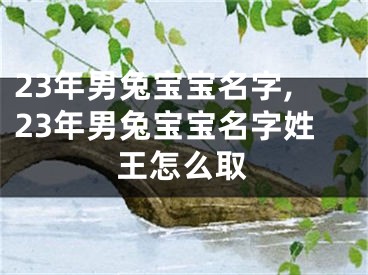23年男兔宝宝名字,23年男兔宝宝名字姓王怎么取