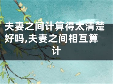 夫妻之间计算得太清楚好吗,夫妻之间相互算计