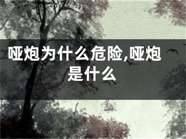 哑炮为什么危险,哑炮是什么