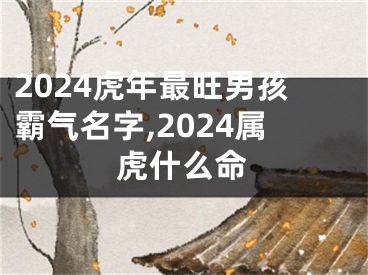 2024虎年最旺男孩霸气名字,2024属虎什么命