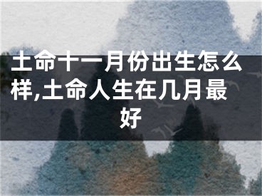 土命十一月份出生怎么样,土命人生在几月最好