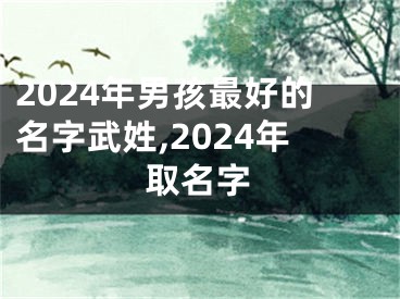 2024年男孩最好的名字武姓,2024年取名字