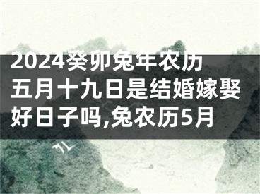 2024癸卯兔年农历五月十九日是结婚嫁娶好日子吗,兔农历5月