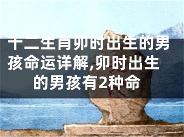十二生肖卯时出生的男孩命运详解,卯时出生的男孩有2种命