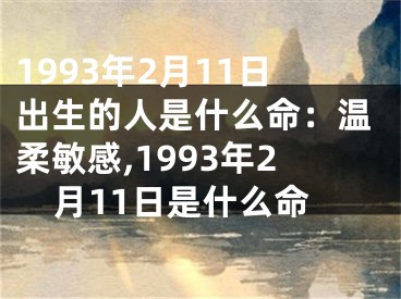 1993年2月11日出生的人是什么命：温柔敏感,1993年2月11日是什么命
