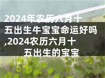 2024年农历六月十五出生牛宝宝命运好吗,2024农历六月十五出生的宝宝