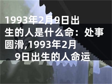 1993年2月9日出生的人是什么命：处事圆滑,1993年2月9日出生的人命运