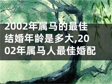2002年属马的最佳结婚年龄是多大,2002年属马人最佳婚配