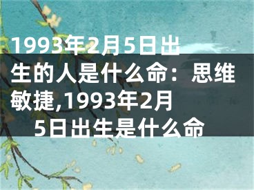 1993年2月5日出生的人是什么命：思维敏捷,1993年2月5日出生是什么命