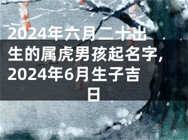 2024年六月二十出生的属虎男孩起名字,2024年6月生子吉日