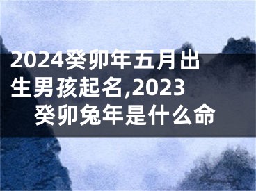 2024癸卯年五月出生男孩起名,2023癸卯兔年是什么命