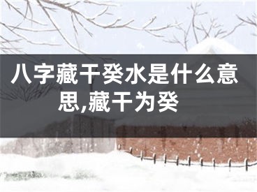 八字藏干癸水是什么意思,藏干为癸