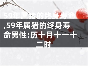 59年属猪的终身寿命,59年属猪的终身寿命男性:历十月十一十二时