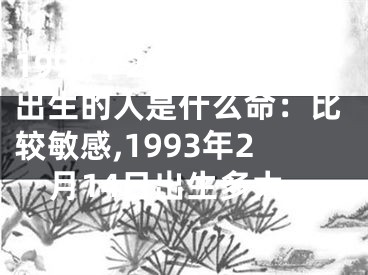 1993年2月14日出生的人是什么命：比较敏感,1993年2月14日出生多大