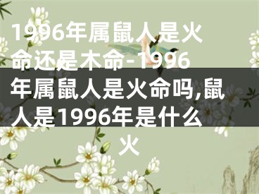 1996年属鼠人是火命还是木命-1996年属鼠人是火命吗,鼠人是1996年是什么火