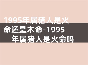 1995年属猪人是火命还是木命-1995年属猪人是火命吗