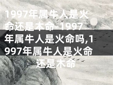 1997年属牛人是火命还是木命-1997年属牛人是火命吗,1997年属牛人是火命还是木命