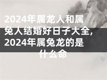2024年属龙人和属兔人结婚好日子大全,2024年属兔龙的是什么命