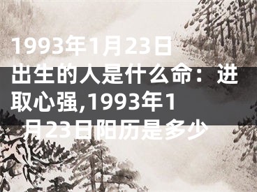 1993年1月23日出生的人是什么命：进取心强,1993年1月23日阳历是多少