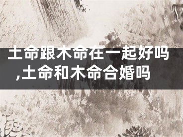 土命跟木命在一起好吗,土命和木命合婚吗