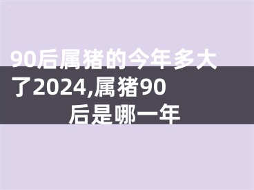 90后属猪的今年多大了2024,属猪90后是哪一年