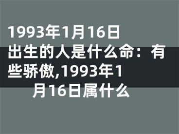 1993年1月16日出生的人是什么命：有些骄傲,1993年1月16日属什么