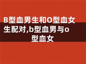 B型血男生和O型血女生配对,b型血男与o型血女