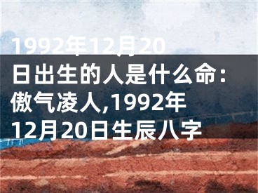 1992年12月20日出生的人是什么命：傲气凌人,1992年12月20日生辰八字