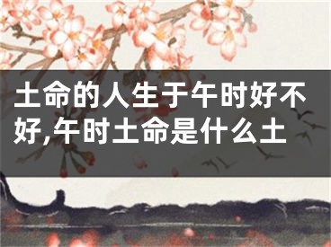 土命的人生于午时好不好,午时土命是什么土