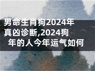 男命生肖狗2024年真凶诊断,2024狗年的人今年运气如何