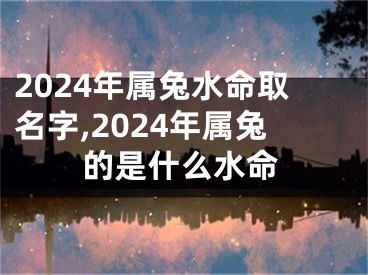 2024年属兔水命取名字,2024年属兔的是什么水命