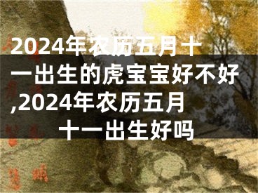 2024年农历五月十一出生的虎宝宝好不好,2024年农历五月十一出生好吗
