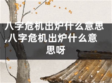 八字危机出炉什么意思,八字危机出炉什么意思呀