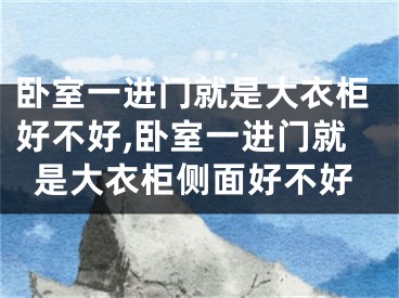 卧室一进门就是大衣柜好不好,卧室一进门就是大衣柜侧面好不好