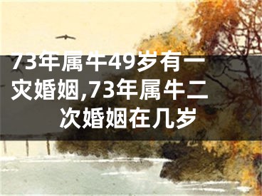 73年属牛49岁有一灾婚姻,73年属牛二次婚姻在几岁