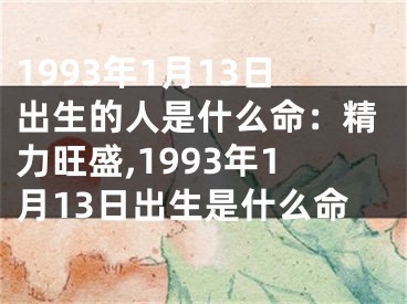 1993年1月13日出生的人是什么命：精力旺盛,1993年1月13日出生是什么命