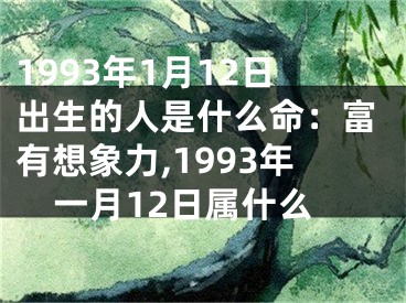 1993年1月12日出生的人是什么命：富有想象力,1993年一月12日属什么