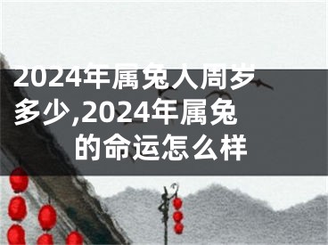 2024年属兔人周岁多少,2024年属兔的命运怎么样