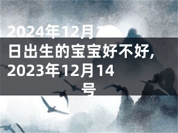 2024年12月13日出生的宝宝好不好,2023年12月14号