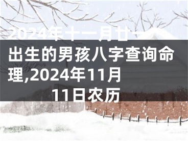 2024年十一月廿一出生的男孩八字查询命理,2024年11月11日农历