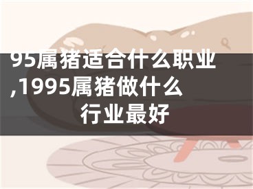 95属猪适合什么职业,1995属猪做什么行业最好