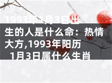 1993年1月3日出生的人是什么命：热情大方,1993年阳历1月3日属什么生肖