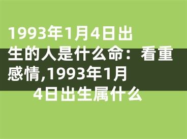 1993年1月4日出生的人是什么命：看重感情,1993年1月4日出生属什么