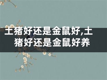 土猪好还是金鼠好,土猪好还是金鼠好养