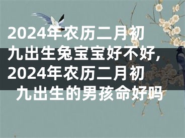 2024年农历二月初九出生兔宝宝好不好,2024年农历二月初九出生的男孩命好吗
