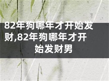 82年狗哪年才开始发财,82年狗哪年才开始发财男
