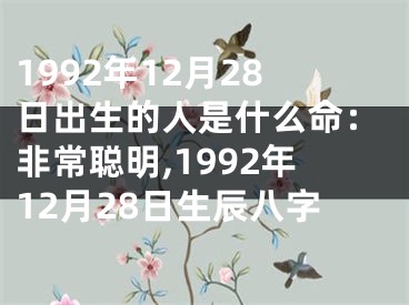 1992年12月28日出生的人是什么命：非常聪明,1992年12月28日生辰八字