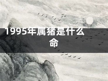 1995年属猪是什么命